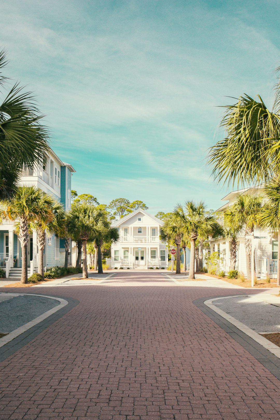 white-and-blue-concrete-building-near-palm-trees-during-daytime-m-qpdchpx6e